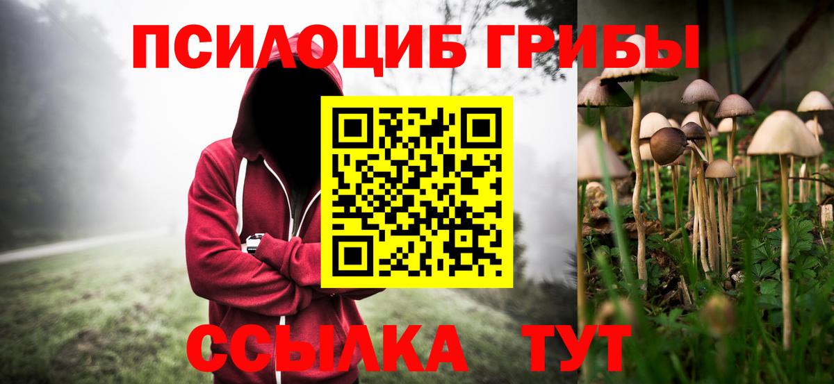 Псилоцибиновые грибы MAGIC MUSHROOMS  Вход с VPN  наркошоп  Лесной 